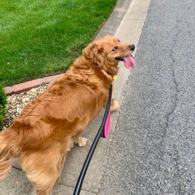 HaroldC__BTC's profile picture. Founder of @chainreachglobe | Web3 Growth & Community Building | Passionate about #RWA, #DeFi ,#Ai