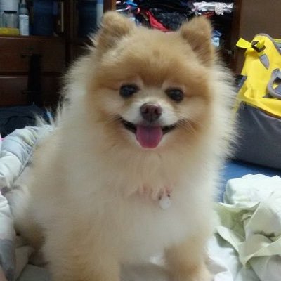 leepumvanid's profile picture. แม่โมก้าOnlyที่มาติ่งหลิงออม สอนโยคะทำขนมสุขภาพมีความสุขกับทุกอย่างที่ทำด้วยรอยยิ้มของหัวใจ ชอบแชร์องค์ความรู้สุขภาพของการแพทย์ต่างประเทศที่แพทย์ไทยไม่เคยบอกคุณ