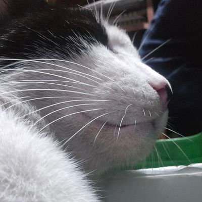 hecdavid24's profile picture. 