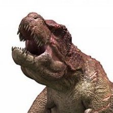 gyemeu's profile picture. 고통이심화되면인장이실사가됨