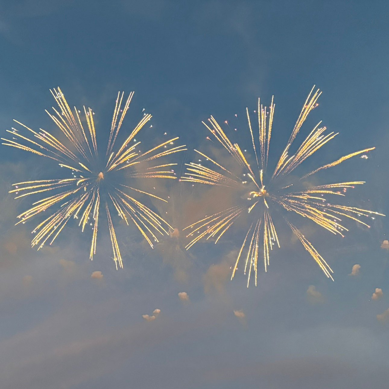 hachuruilove's profile picture. 