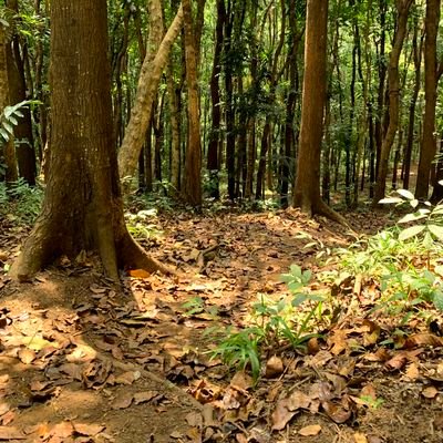 dinisahh17_'s profile picture. info kos bisa gabung channel DINIFESS 🐚 link channel di bawah yaa | anjem jastip since 2022 | https://t.co/ucGLMSQBhN