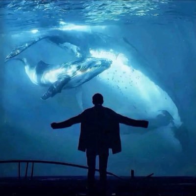 Yangopw's profile picture. 