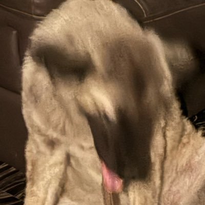 ore_alice's profile picture. Cloud enthusiasts