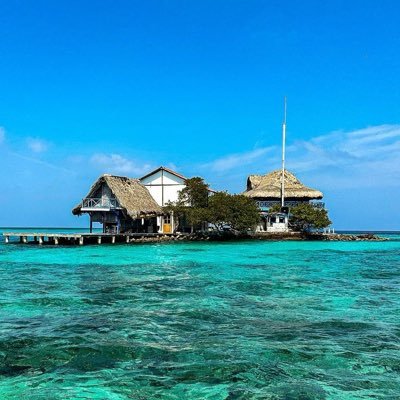 brolo___'s profile picture. 