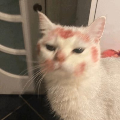 undw9ter's profile picture. @und_water 계정정지당함