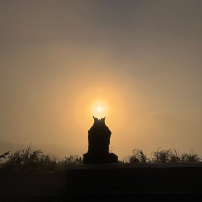 sexsalamander's profile picture. 体育会系だった某スポーツコーチ／土日祝は会えません／きんたまほんと少しだけ大きいです／🔑@whalewatching01／20代／年上あんま興味ない年下大歓迎✨