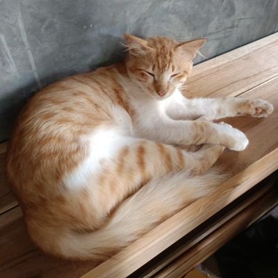 sass_suss's profile picture. 