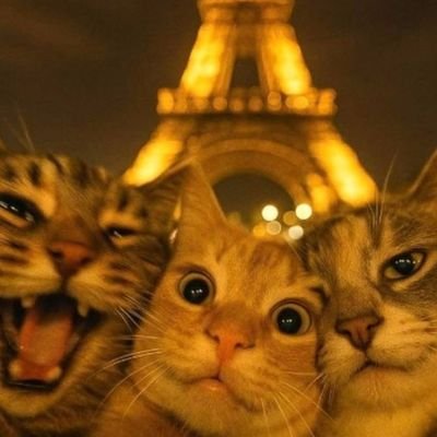 VirginiaGo87515's profile picture. 