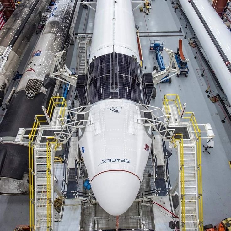 xk887d's profile picture. CEO SPACE_X 🚀🛰️🪐