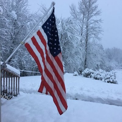 Sayvaloso's profile picture. Detractor of MAGA | Remember the Alamo