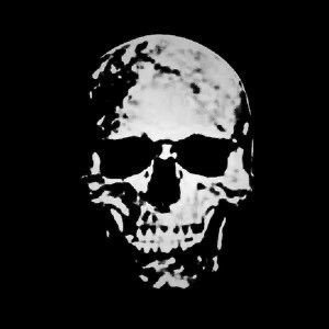 0xmadvise's profile picture. 