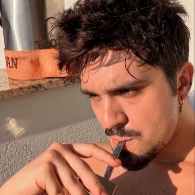 soupagodeira's profile picture. dilsinho & luan santana.