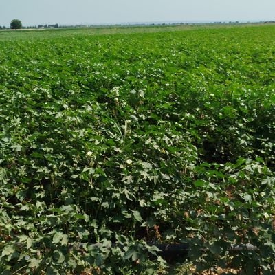 sergenx91's profile picture. 