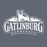 TravelGburg's profile picture. Official X for Gatlinburg. #TheMountainsAreCalling Managed by the Gatlinburg Convention and Visitors Bureau