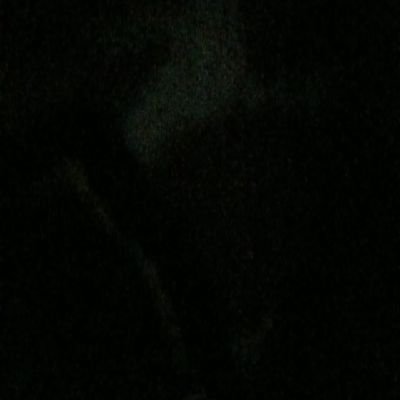 dam13557's profile picture. 