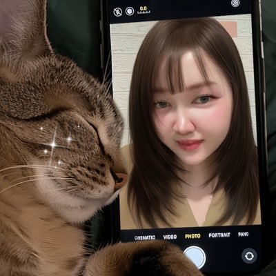 ssheismonica's profile picture. A cat in human form ⟡ made of sparkles ⟡ @mancity 𓏲⋆🧸ིྀ