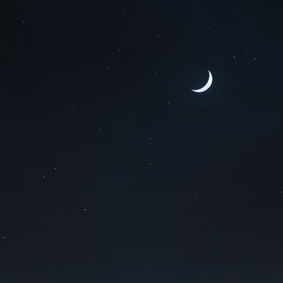 lil211341662's profile picture. 