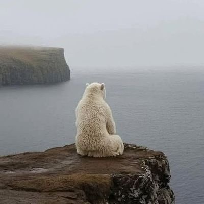 gogo_alshr's profile picture. 