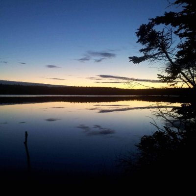 PearoCindy2028's profile picture. 