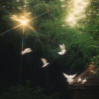 HAGER2581837283's profile picture. 