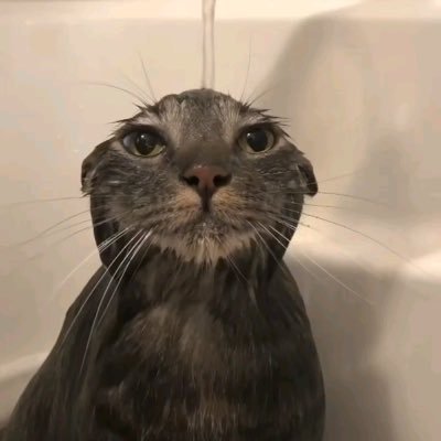 v3oLfwExAO73028's profile picture. 