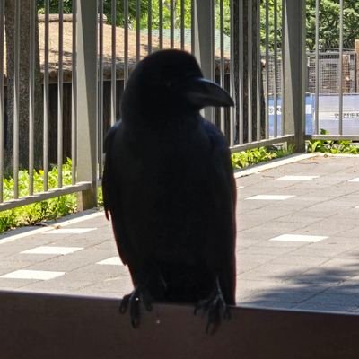 Kim_Kkamagwi's profile picture. 20대 | 사회초년생 | 투자 + 취미