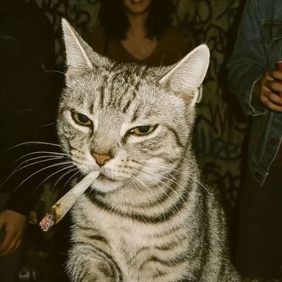 psychocrown_'s profile picture. minhoco minhoco ce ta ficando loco          rs-bra