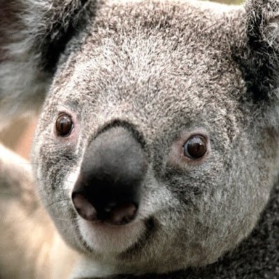 DudeNicer8533's profile picture. 