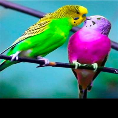 johnparker458's profile picture. follow me 100% follow back