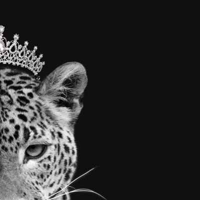 J_Dornelles1's profile picture. 