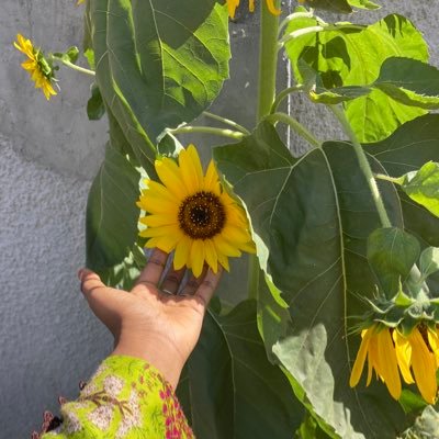 Tambudu_'s profile picture. •A striving muslimah🌺...•Mama❤ •Madridista❤•Sapiosexual•❤️•Cr7👑🐐...Please don’t send me a Dm I have enough “friends”..Check out @Chops_by_zaad on IG 2/6/25💔