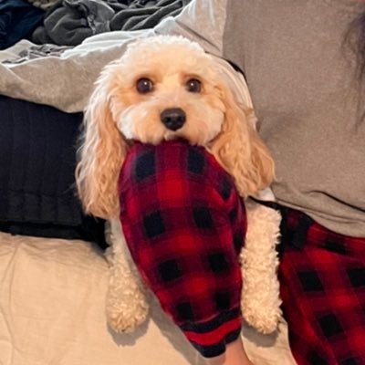 Gabe_ENV's profile picture. Tag: GENV | Main: Mario | Marbleless (without marbles) | Ugly AF Brazilian | #2 Messypack Fan | he/him