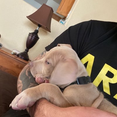 GadJohnsonn's profile picture. 🇲🇽 🇺🇸 🇨🇦