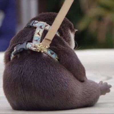 cosotafromkorea's profile picture. 11/28까지 한국🇰🇷 도쿄거주 코덕 17-19호 韓国人コスオタ(日本在住) ✉️cosotafromkorea@gmail.com  모르는 분의 디엠 질문 안 받습니다