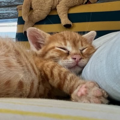 oulcannnnnnn's profile picture. blogumsu