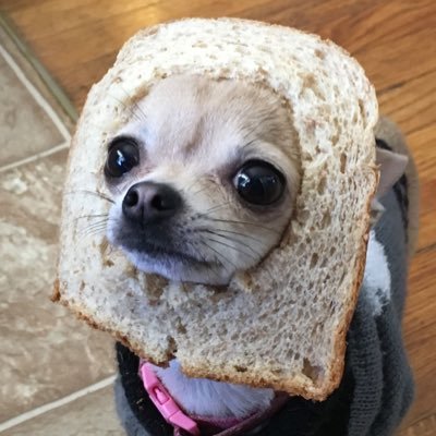 sidoong2's profile picture. 