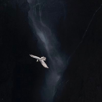 alsrab43's profile picture. 