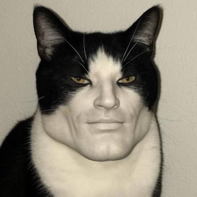 reiwtnbe's profile picture. kumiy