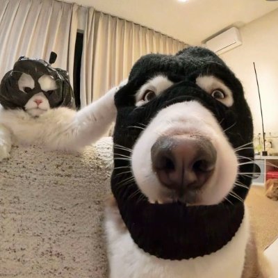 cryptoIAN88's profile picture. 🚀 Web3 | 分享深度参与的项目 | MSU Lover | GPlumeR