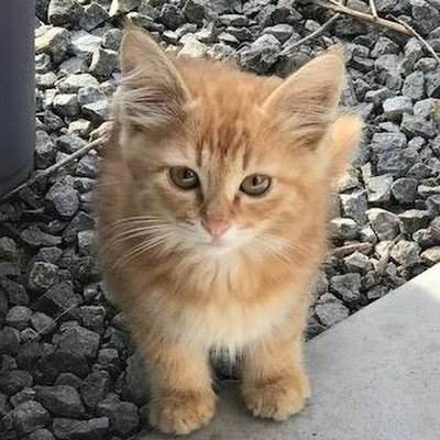 Seaszxcbn's profile picture. 日本株は貯金のように、未来へゆっくり積み重ねています
期待を持ってこそ、日々はもっと明るくなる