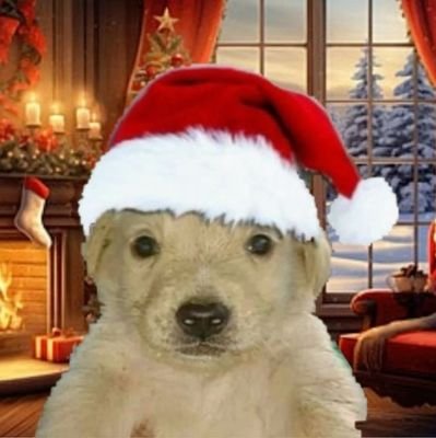 do7939952574834's profile picture. 개조심