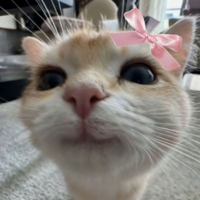 miximexita's profile picture. La democracia es la esencia del bien. El comunismo, la definición del mal.