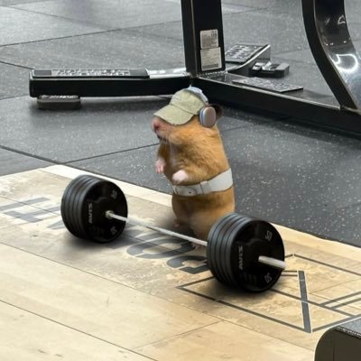 pixzii08's profile picture. 🎴 fan account Linglingkwong & ormkornnaphat ~Abu kook ! 🦜🩶 # LOLO โลโล่ 🪇 💜