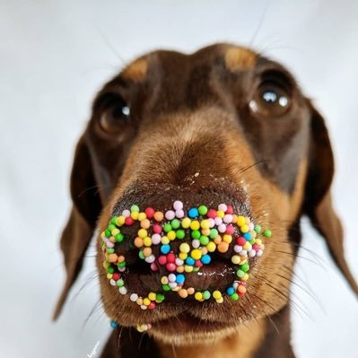 6ugparty's profile picture. 