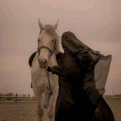 Binte_khan321's profile picture. امت کے درد کو لیکر چلنا ہی اصل کامیابی ہے🩶