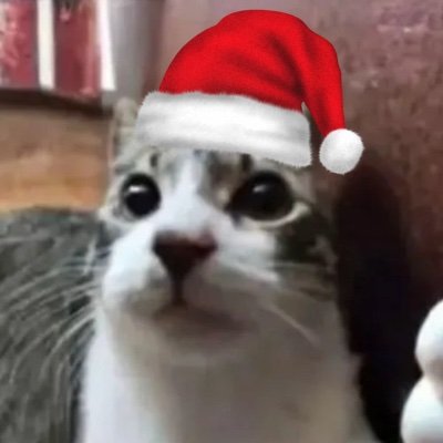 Thatoneguywhouh's profile picture. “And now, O Lord, for what do I wait? My hope is in you." (Psalm 39:7)

Ui is wife, Aoba is daughterwife!! 😭💢

If she ain't flat, I dont want NUNNA DAT‼️🗣️