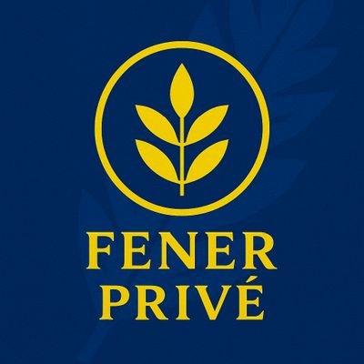 Fenerprive's profile picture. 🇹🇷💛💙