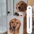Harmind01774458's profile image