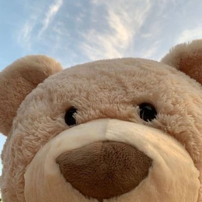 0o0o0_508's profile picture. 